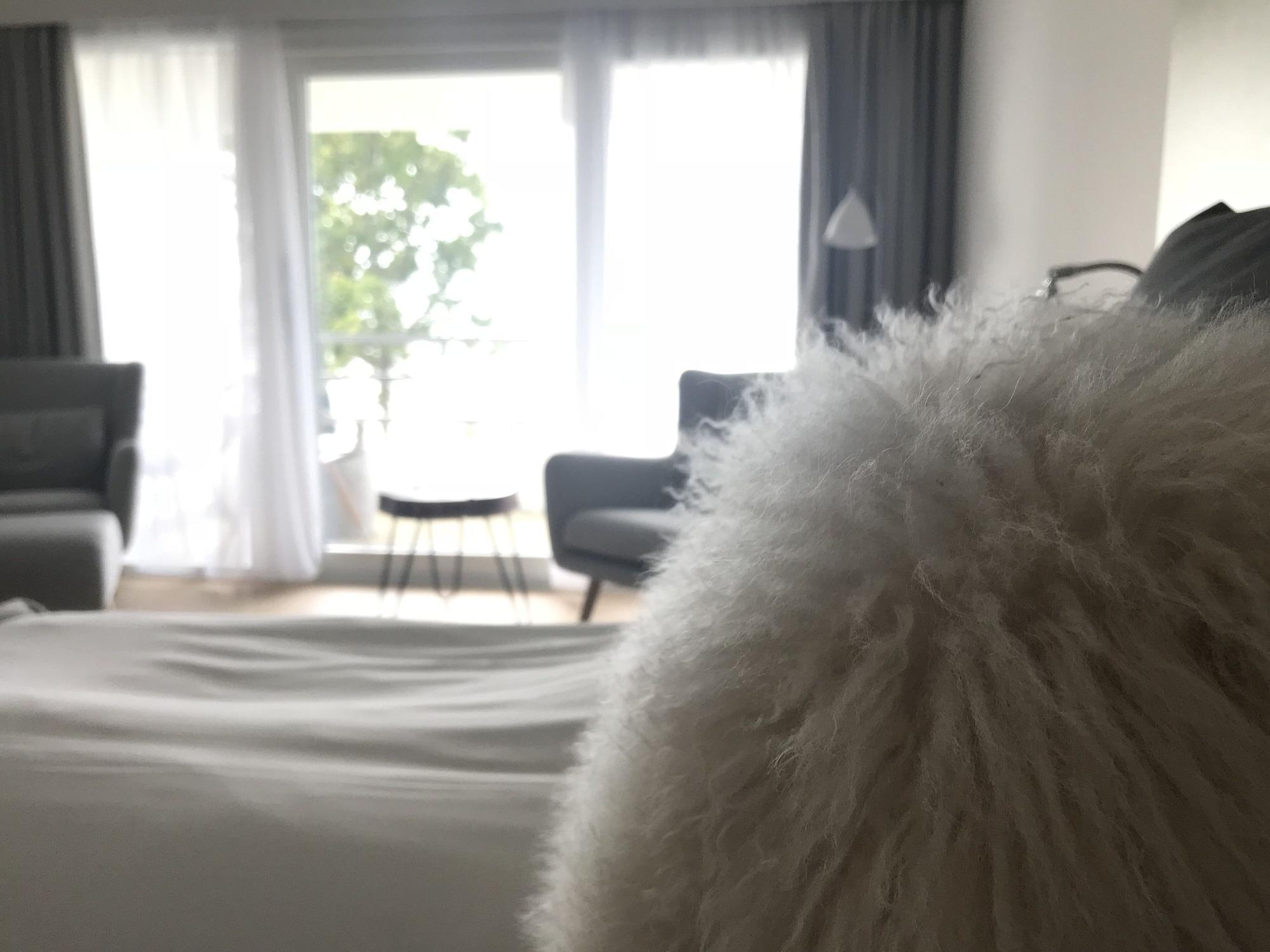 Fredensborg Badehotel Рённе Экстерьер фото